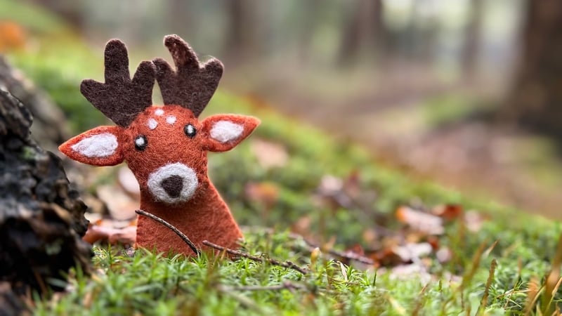 Enchanted Crafts