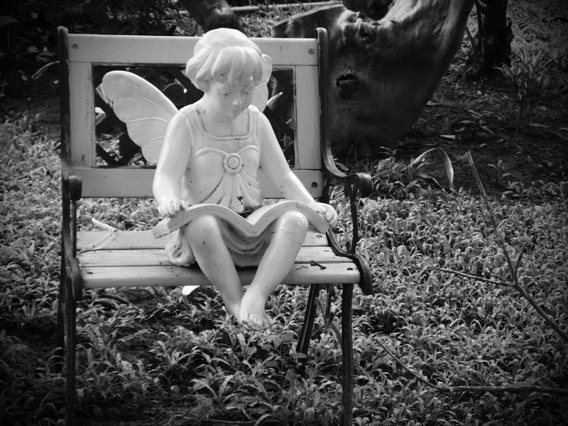 Imaginary Gardens