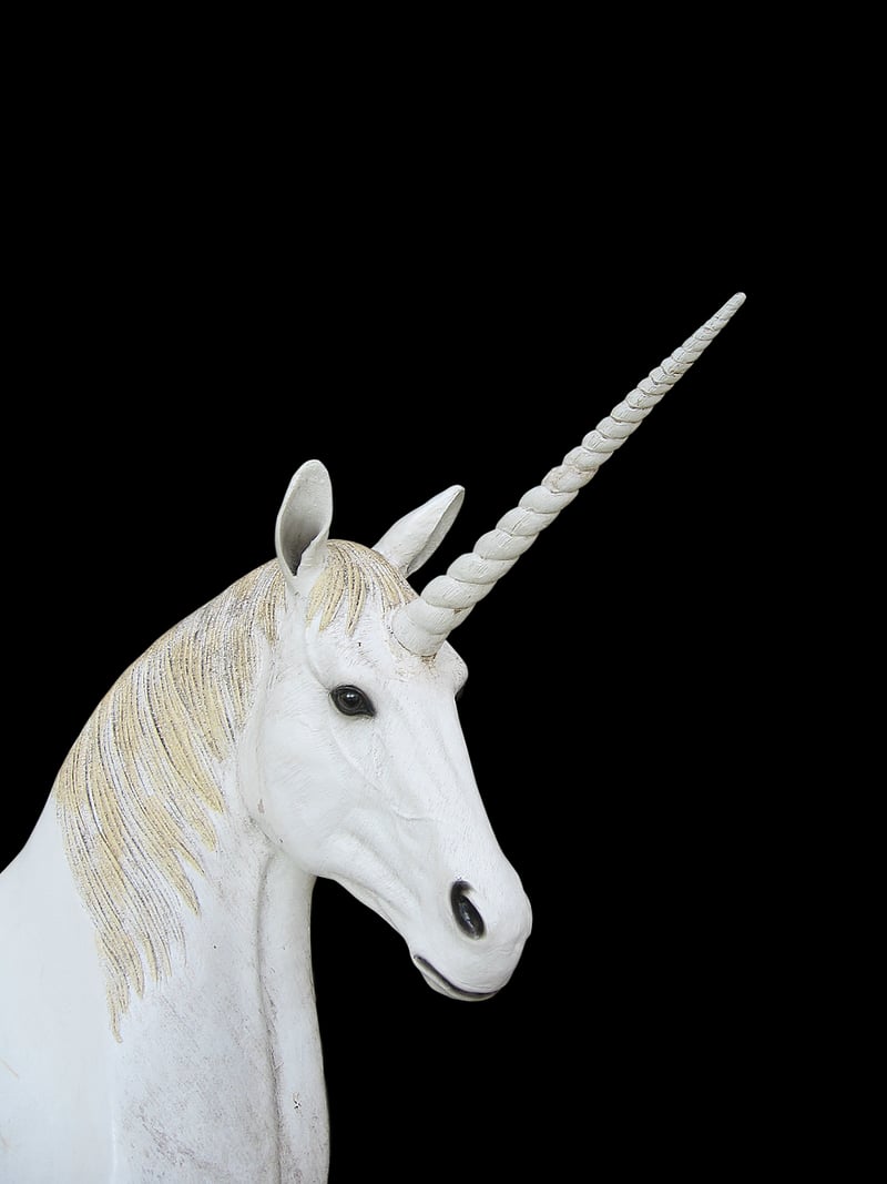 Unicorn Dreamcatcher